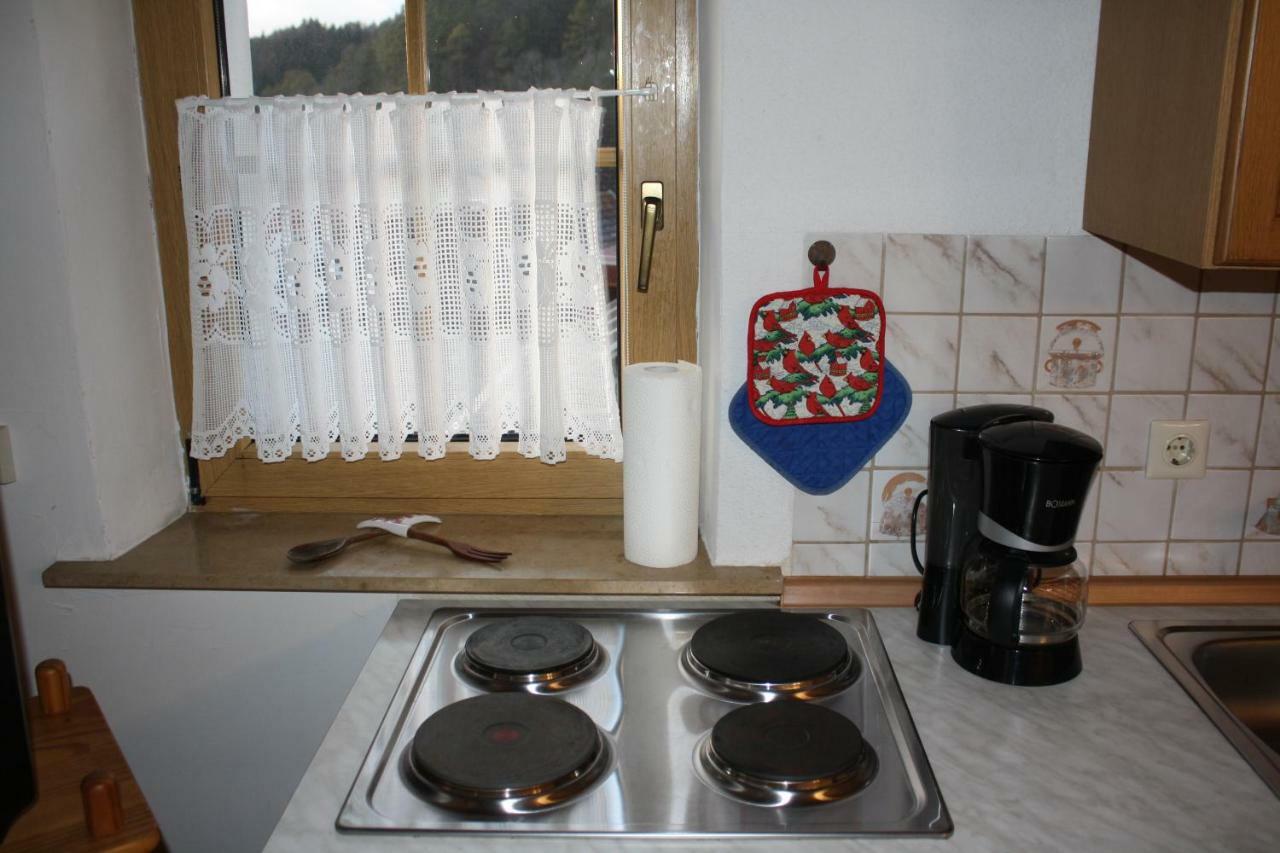 Ferienwohnung Eva Und Alexander Hirschbach  ภายนอก รูปภาพ